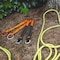 Notch Equipment Steel Wear Safe Ring 36in Friction Saver, CE Compliant NSFS-W3 - alternate 5